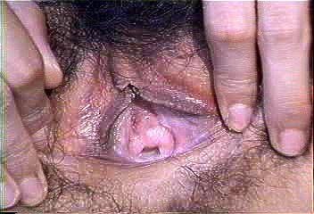 変態おんな Porn - SpankBang